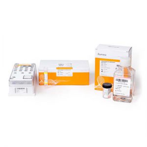 เครื่องมือวิทยาศาสตร์ MiSeq Reagent Kit v2 (300-cycles)