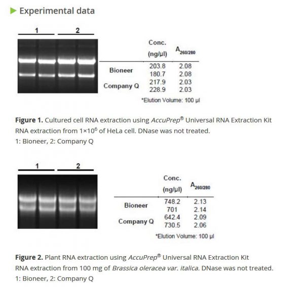 AccuPrep® Universal RNA Exraction Kit, 100 extractions - Image 4