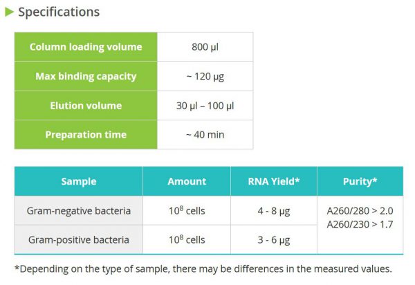 AccuPrep® Bacterial RNA Extraction Kit, 100 rxn - Image 2
