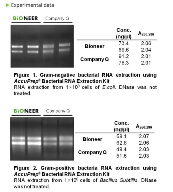 AccuPrep® Bacterial RNA Extraction Kit, 100 rxn - Image 4