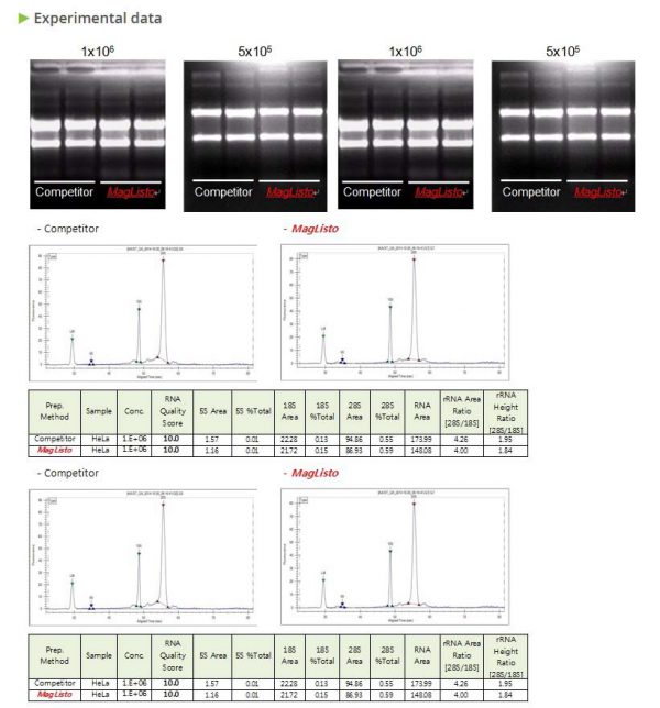 MagListo™ 5M Cell Total RNA Extraction Kit, 100 rxn in mini / kit - Image 4