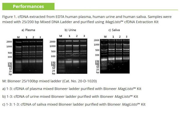 MagListo™ cfDNA Extraction Kit, 50 rxn in mini / kit - Image 2