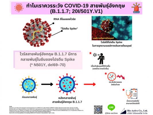 COVID-19 สายพันธุ์อังกฤษ (B.1.1.7; 20I/501Y.V1)