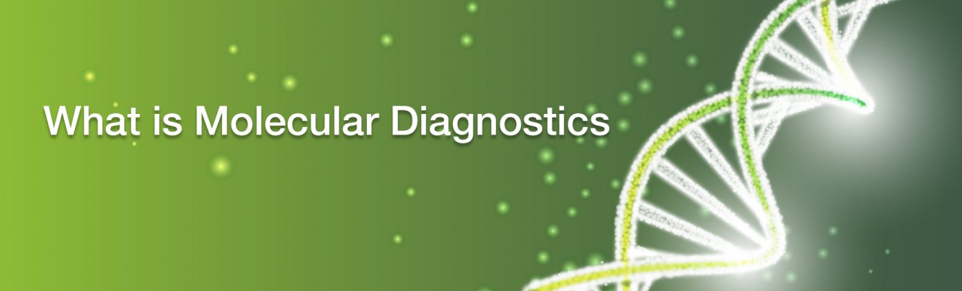 Molecular Diagnostics | ชุดน้ำยาตรวจ RT-PCR Covid-19, SARS-CoV-2