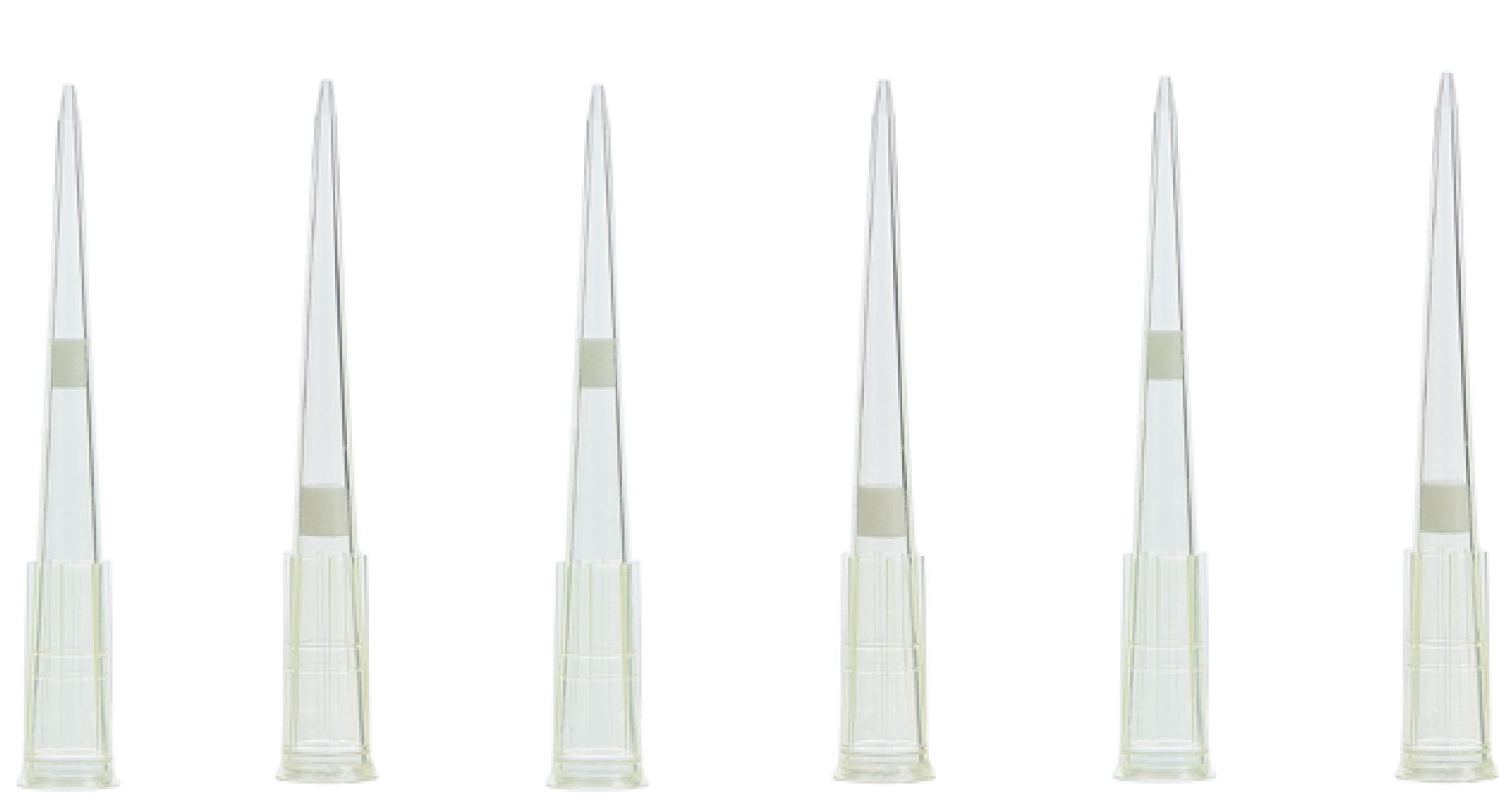 Filter Tips, Pipette Tips (ทิปแบบมีตัวกรอง คุณภาพสูง) - www.bio-active ...