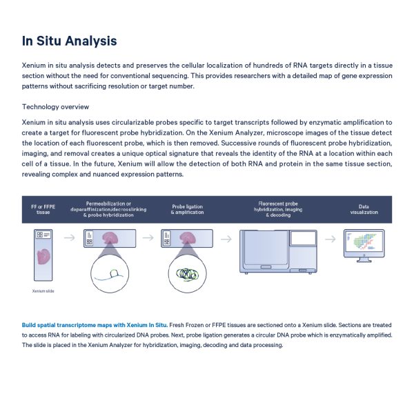 Xenium Analyzer - Image 3