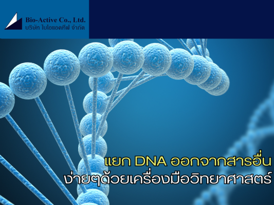 แยก DNA ออกจากสารอื่นง่ายๆด้วยเครื่องมือวิทยาศาสตร์