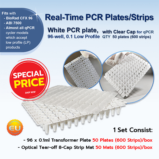 Bioplastic-โปรลงเว็บ-2 PCR plate