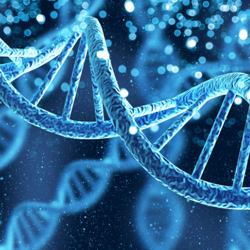 เครื่องมือวิทยาศาสตร์ที่ช่วยในการเตรียมตัวอย่าง DNA (2)