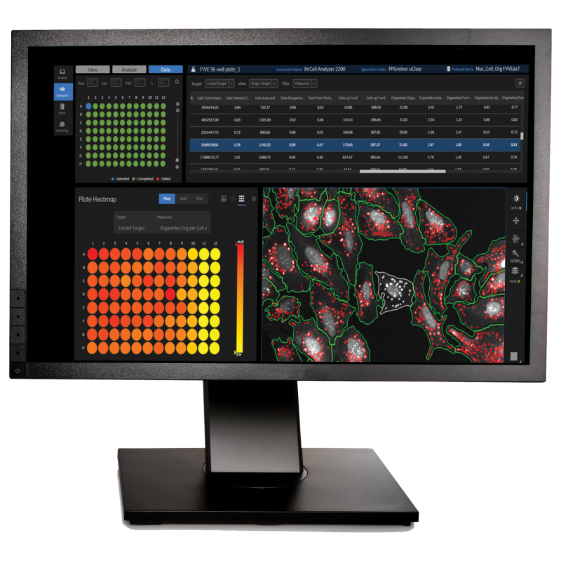 IN Carta Image Analysis Software - www.bio-active.co.th
