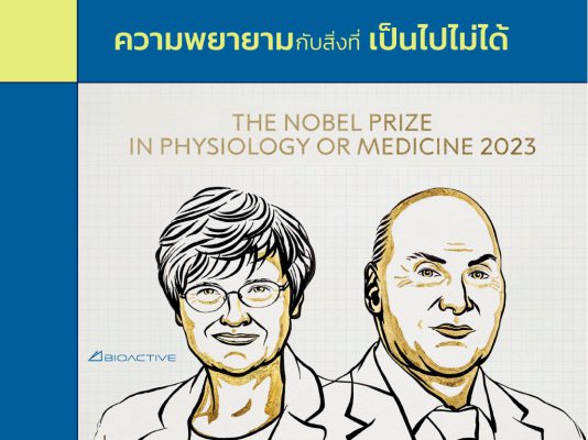Nobel Prize mRNA vaccine ความพยายามกับสิ่งที่เป็นไปไม่ได้