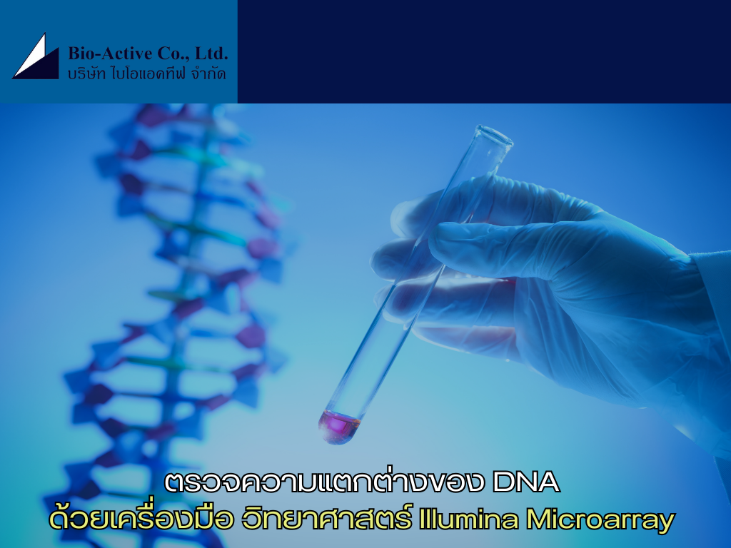 ตรวจความแตกต่างของ DNA ด้วยเครื่องมือวิทยาศาสตร์ Illumina microarray (1)